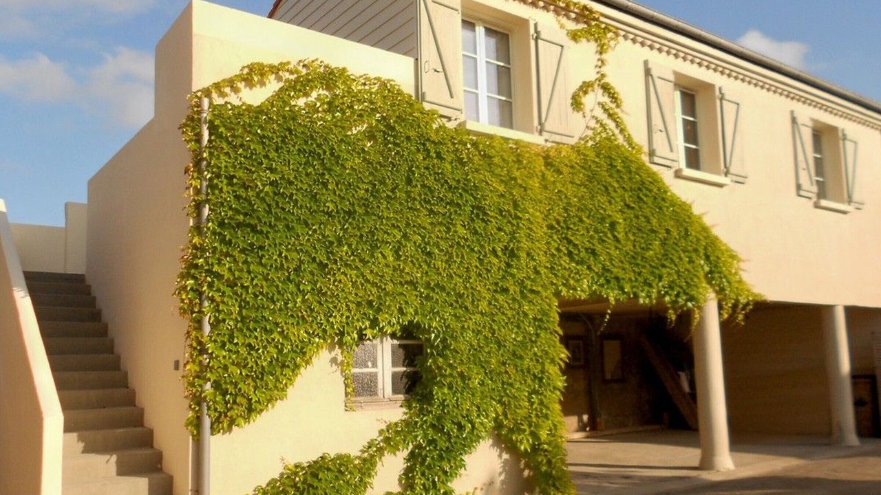 Photo of Outdoor in Talmont-Saint-Hilaire