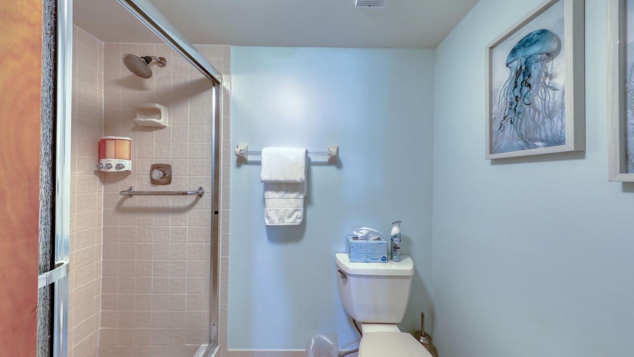 Photo of Bathroom in Indian Rocks Beach