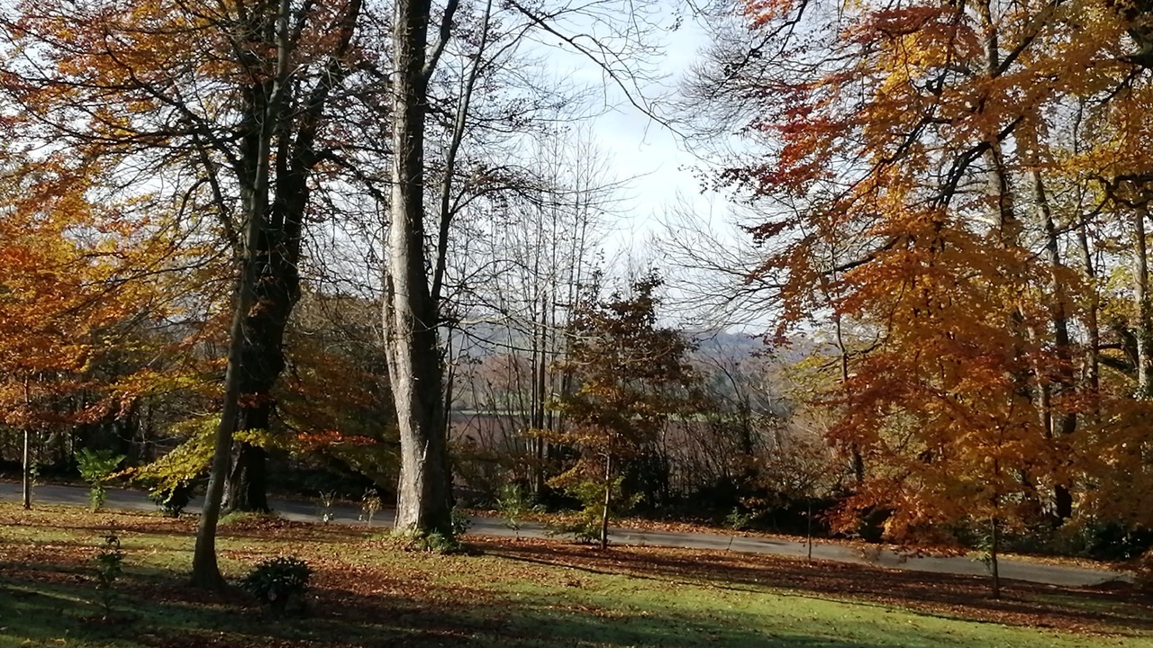 Photo of Outdoor in Saint-Martin-le-Bouillant