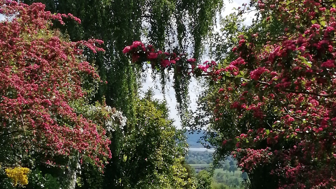 Photo of Outdoor in Saint-Martin-le-Bouillant