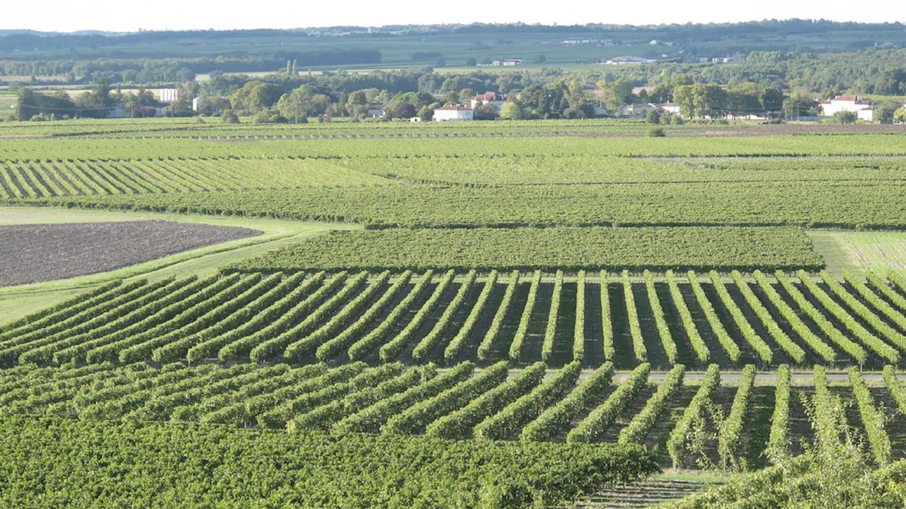 Photo of Others in Verrieres