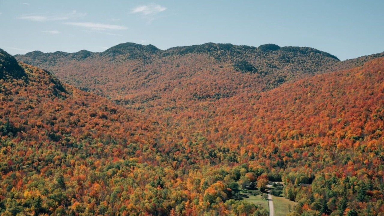 Photo of Others in Keene