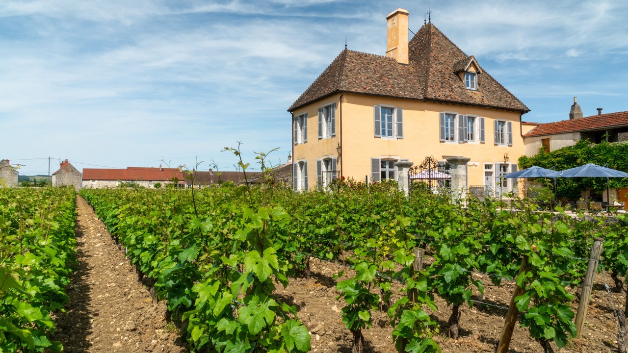 Photo of Outdoor in Puligny-Montrachet