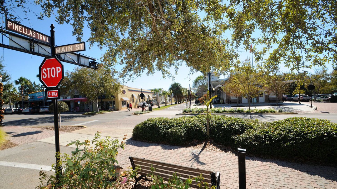 Photo of Outdoor in Downtown Dunedin
