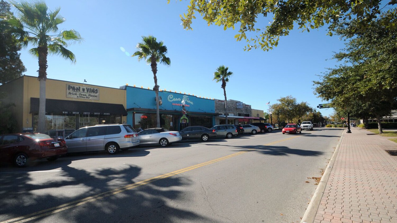 Photo of Others in Downtown Dunedin