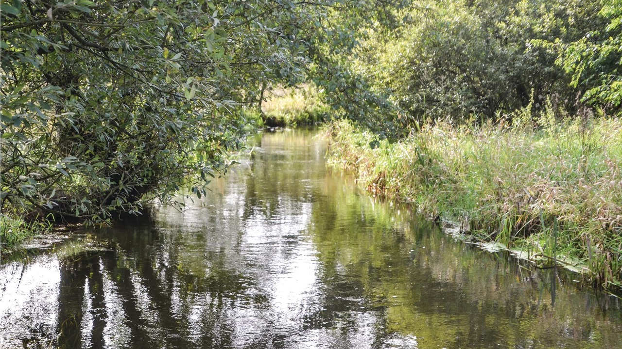 Photo of Others in Janderup