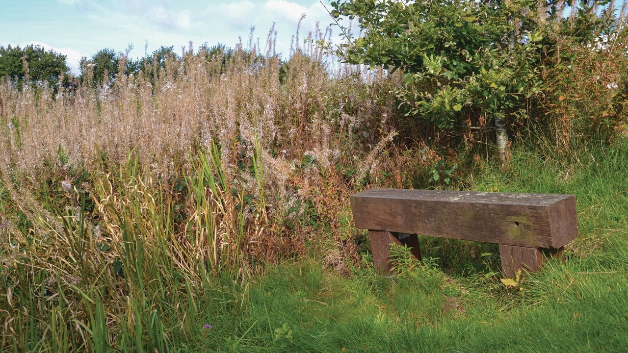 Photo of Others in Janderup