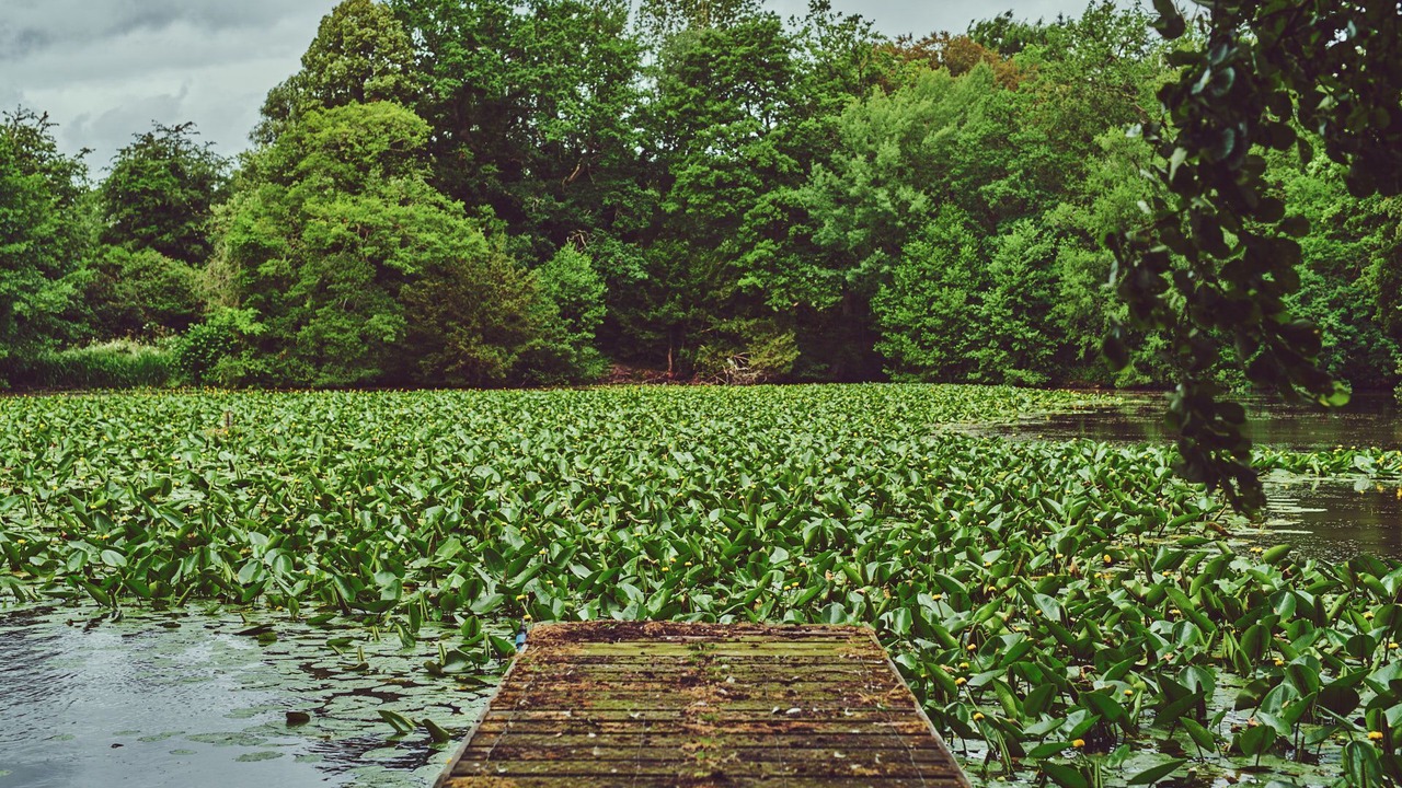 Photo of Outdoor in Pudleston