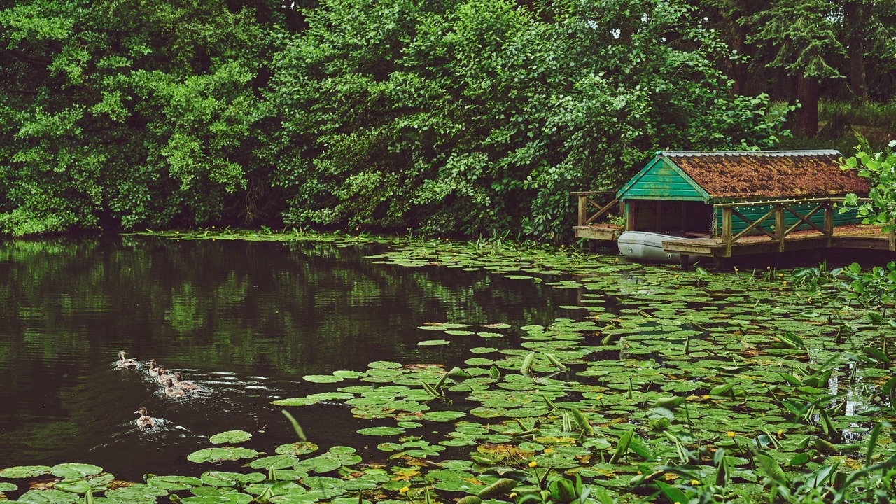 Photo of Outdoor in Pudleston