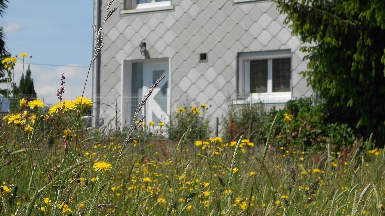 Photo of Outdoor in Bagneres-de-Bigorre