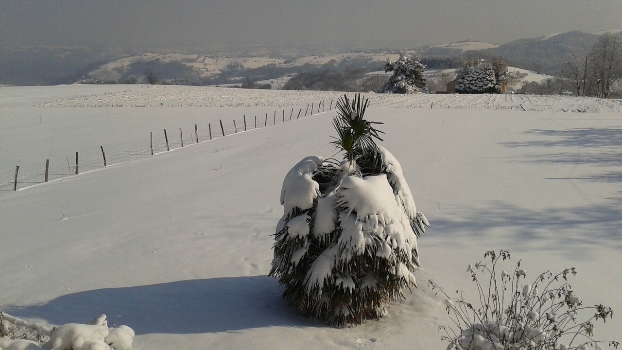 Photo of Others in Bagneres-de-Bigorre