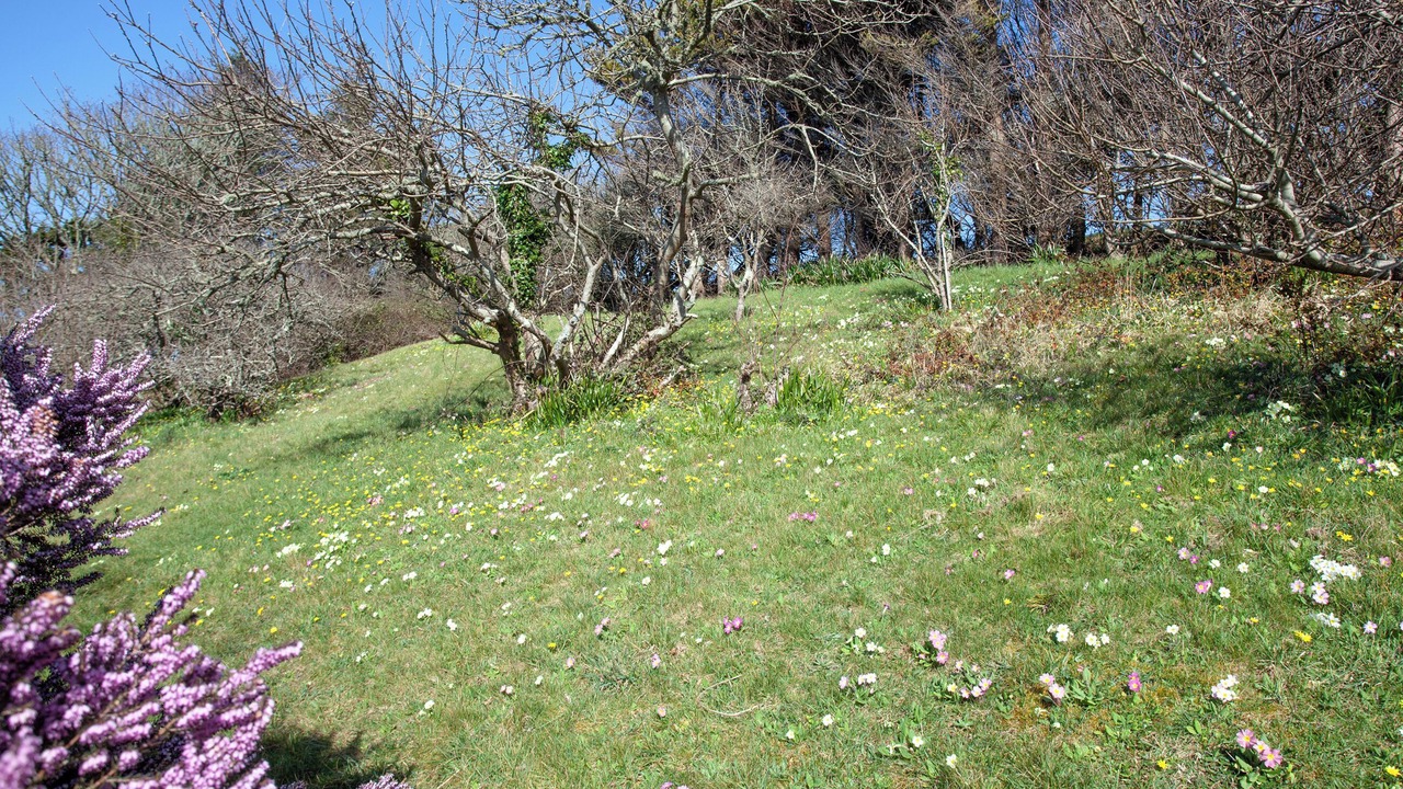 Photo of Outdoor in Perranporth