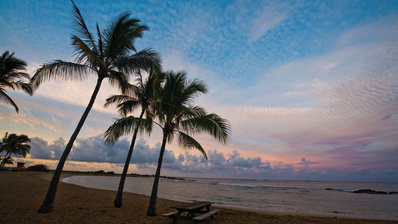 Photo of Others in Poipu