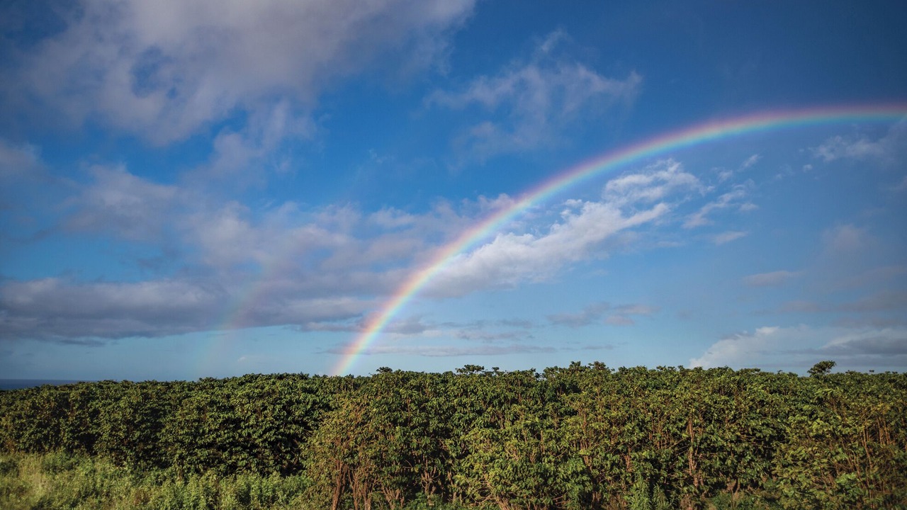 Photo of Others in Poipu