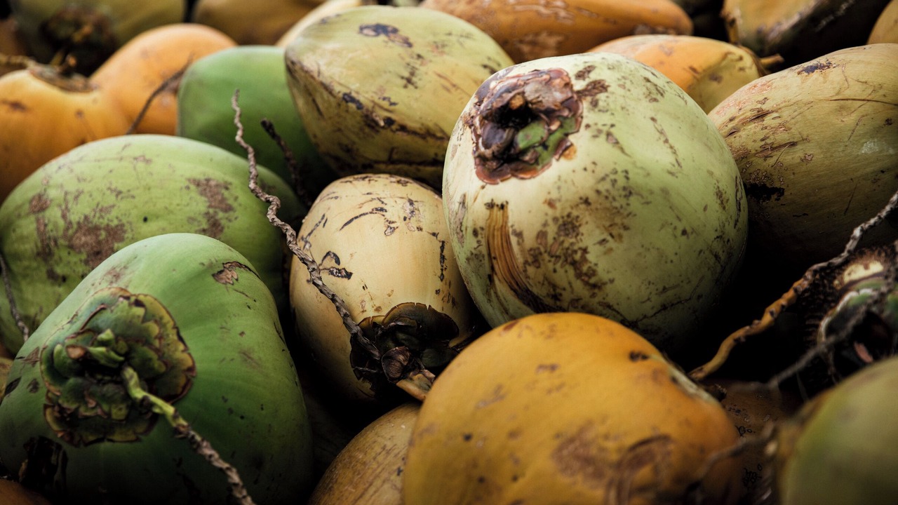 Photo of Others in Poipu