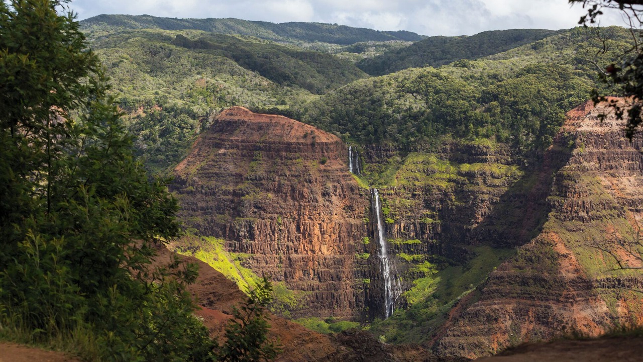 Photo of Others in Poipu