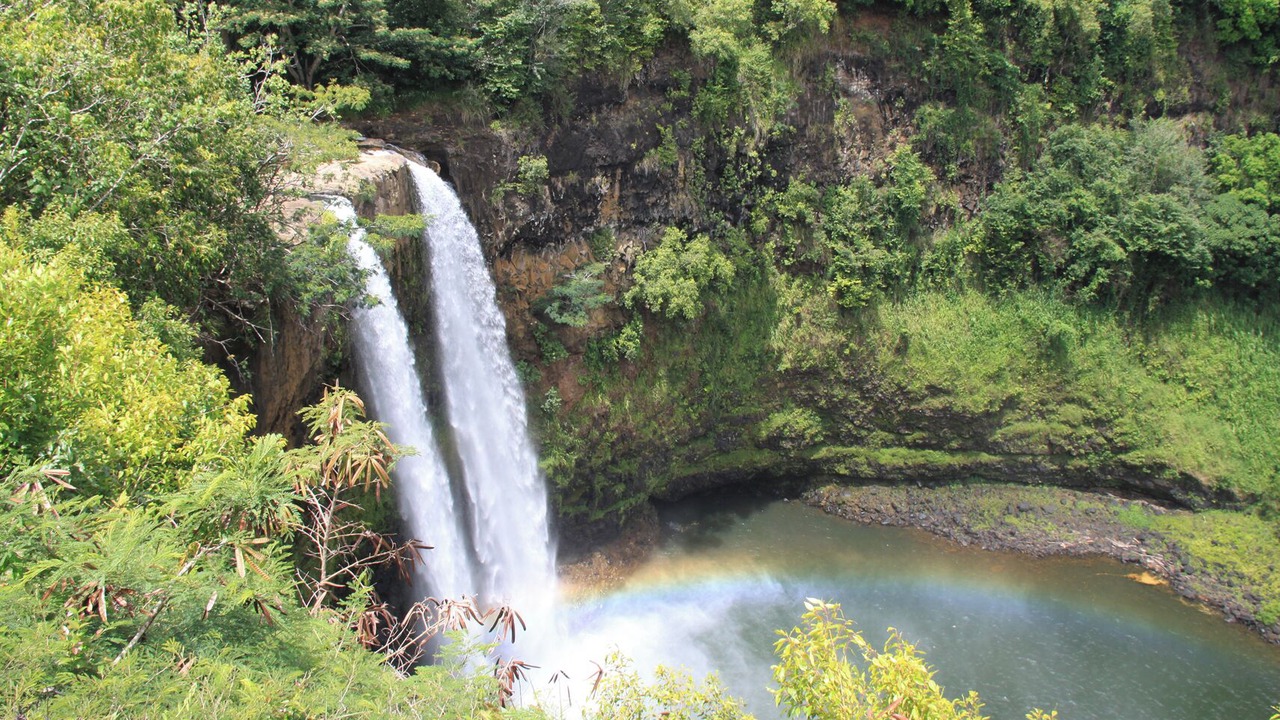 Photo of Others in Poipu