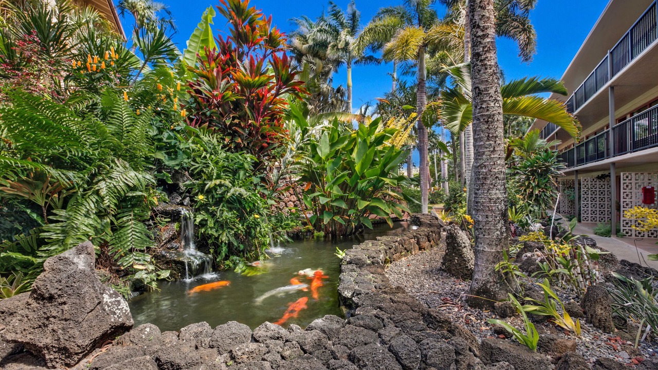 Photo of Others in Poipu