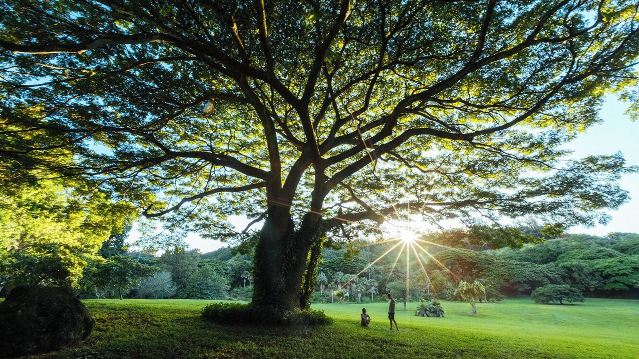 Photo of Outdoor in Poipu