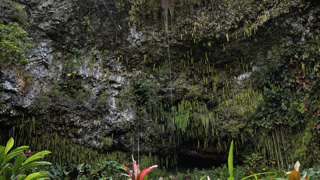 Photo of Others in Poipu