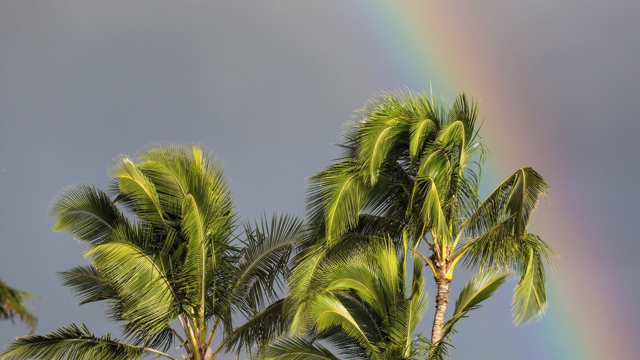 Photo of Others in Poipu