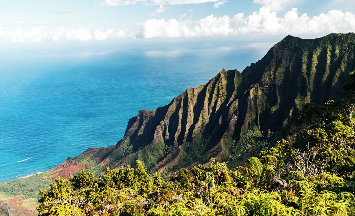 Photo of Others in Poipu