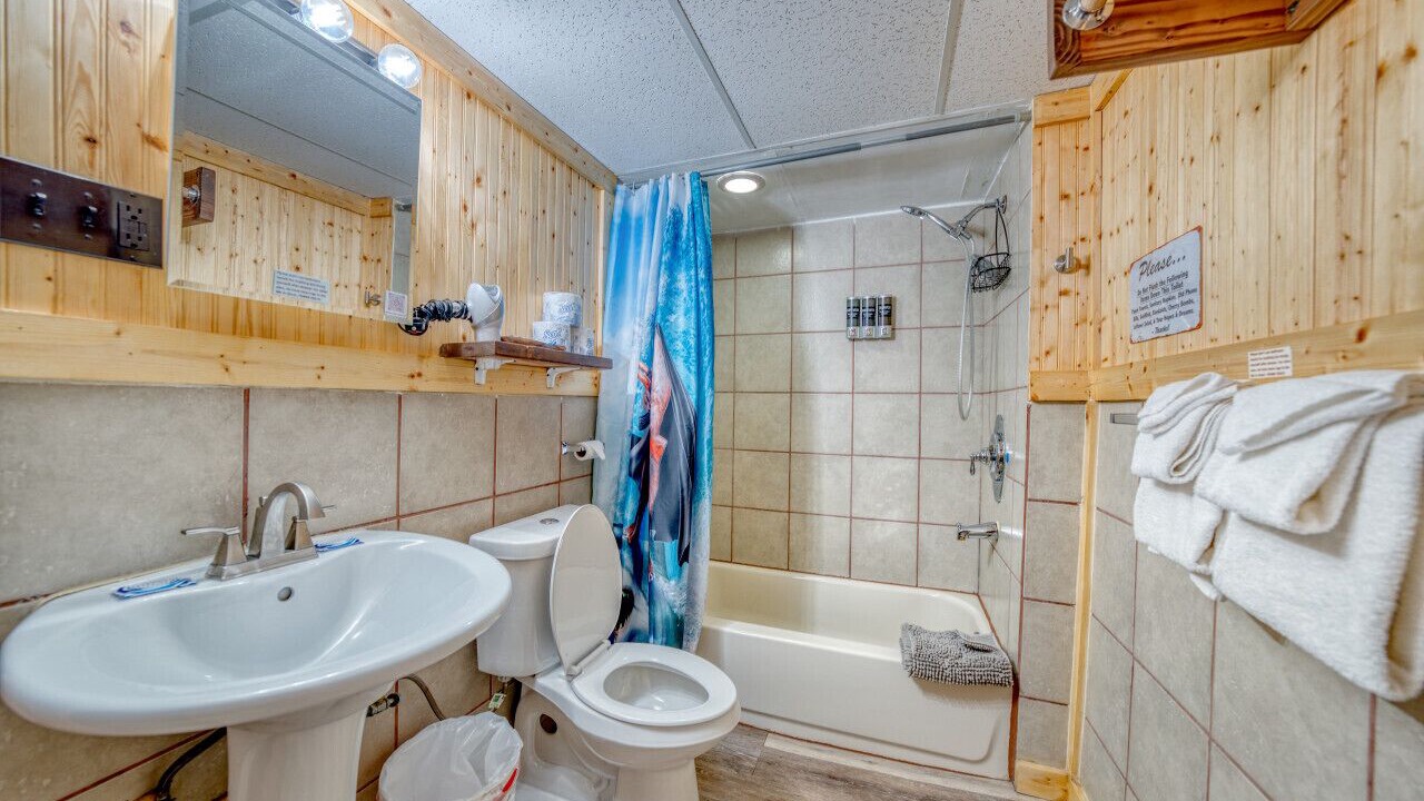 Photo of Bathroom in Leadville