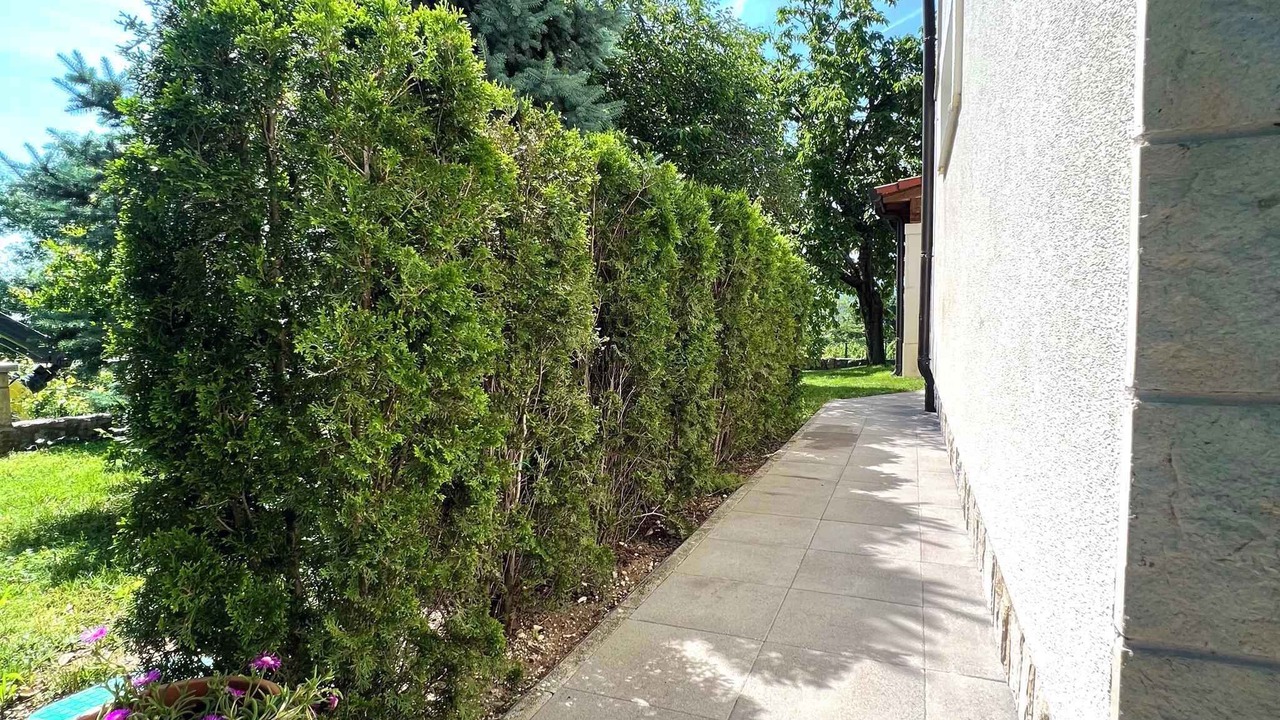 Photo of Outdoor in Donji Prolozac