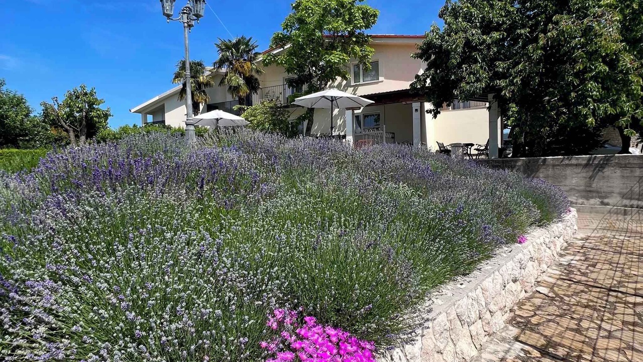 Photo of Outdoor in Donji Prolozac