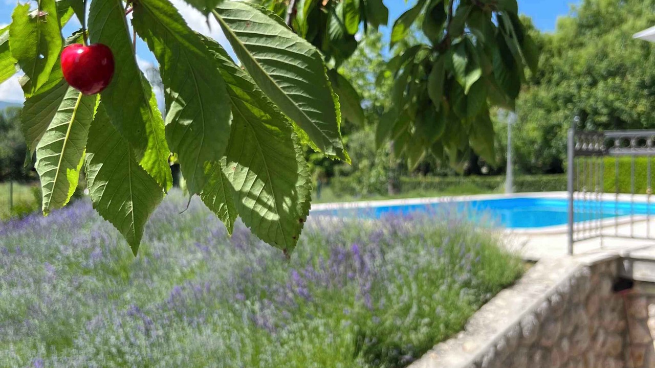 Photo of Outdoor in Donji Prolozac