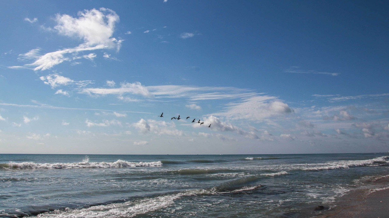 Photo of Others in South Patrick Shores