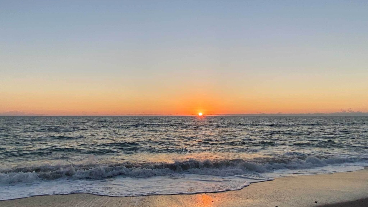 Photo of Others in South Patrick Shores