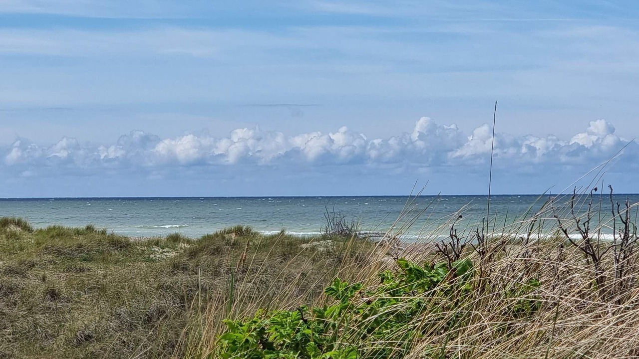 Photo of Others in Torup Strand