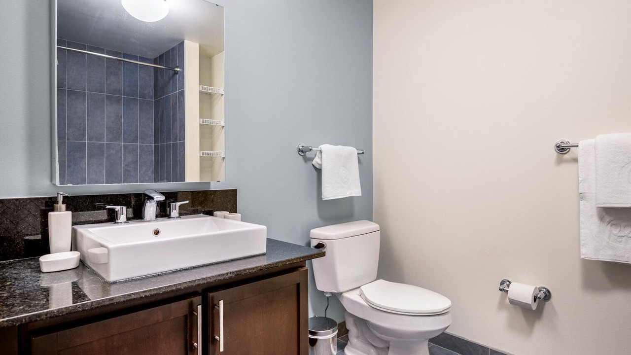 Photo of Bathroom in Downtown Chicago