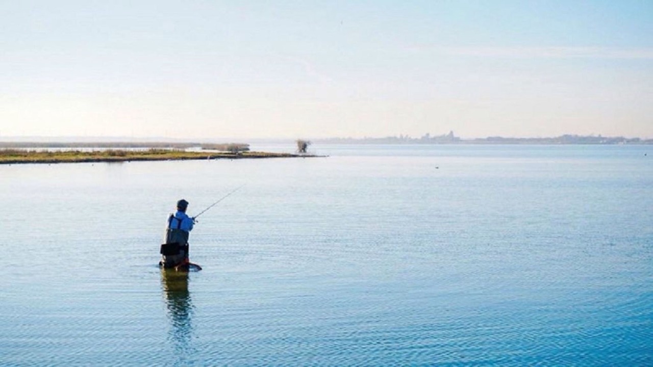 Photo of Others in Rockport