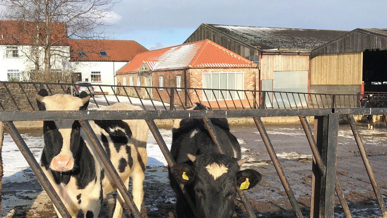 Photo of Others in Stockton-on-Tees