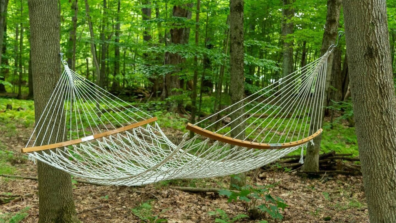 Photo of Outdoor in West Oneonta