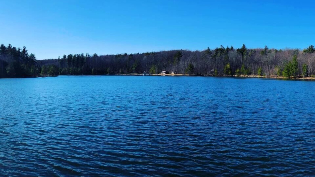 Photo of Outdoor in West Oneonta