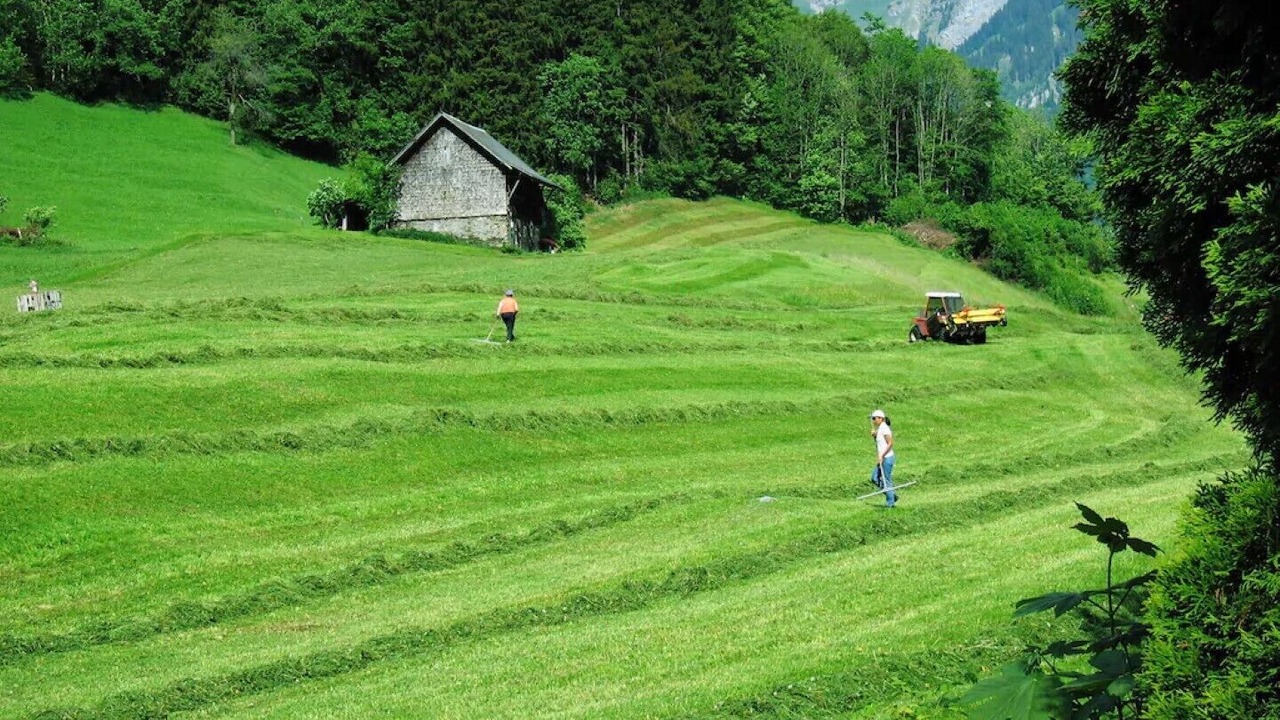 Photo of Others in Engelberg