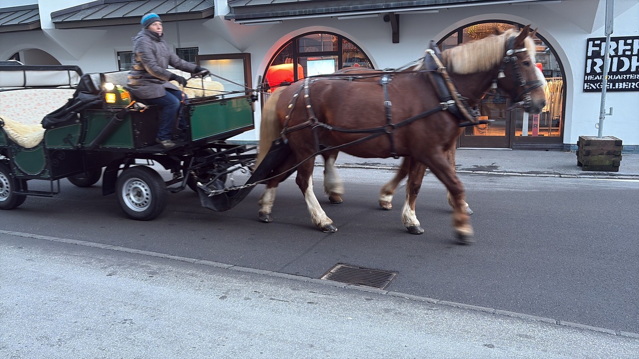 Photo of Others in Engelberg