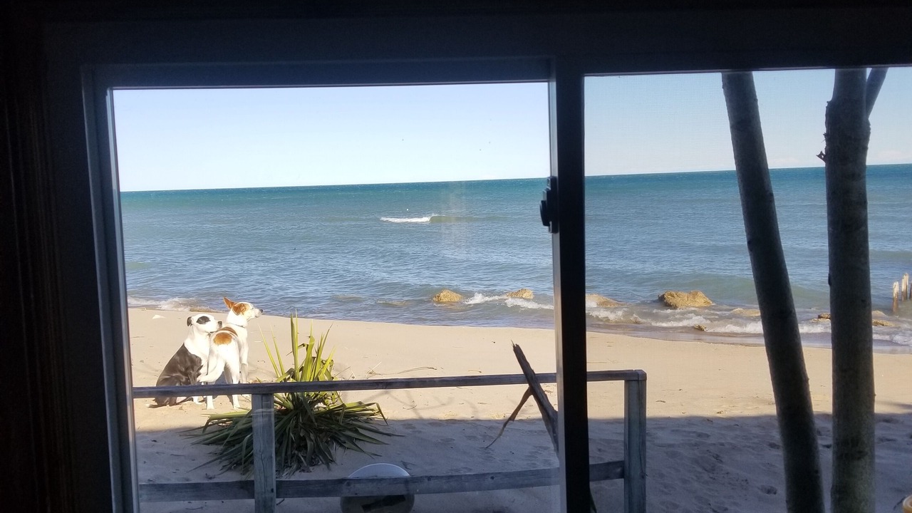 Photo of Others in Oscoda