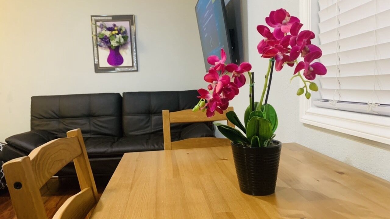 Photo of Others in East San Jose