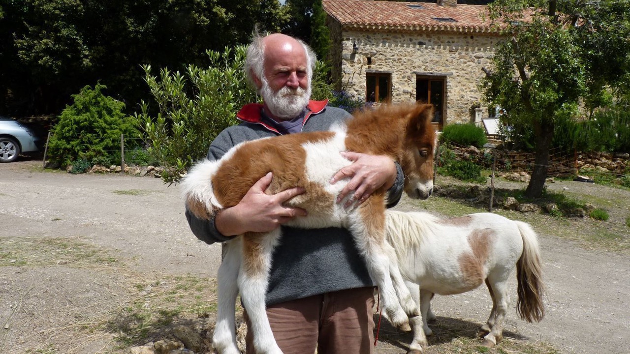 Photo of Outdoor in Termes