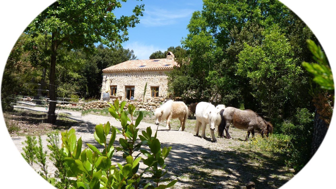 Photo of Outdoor in Termes