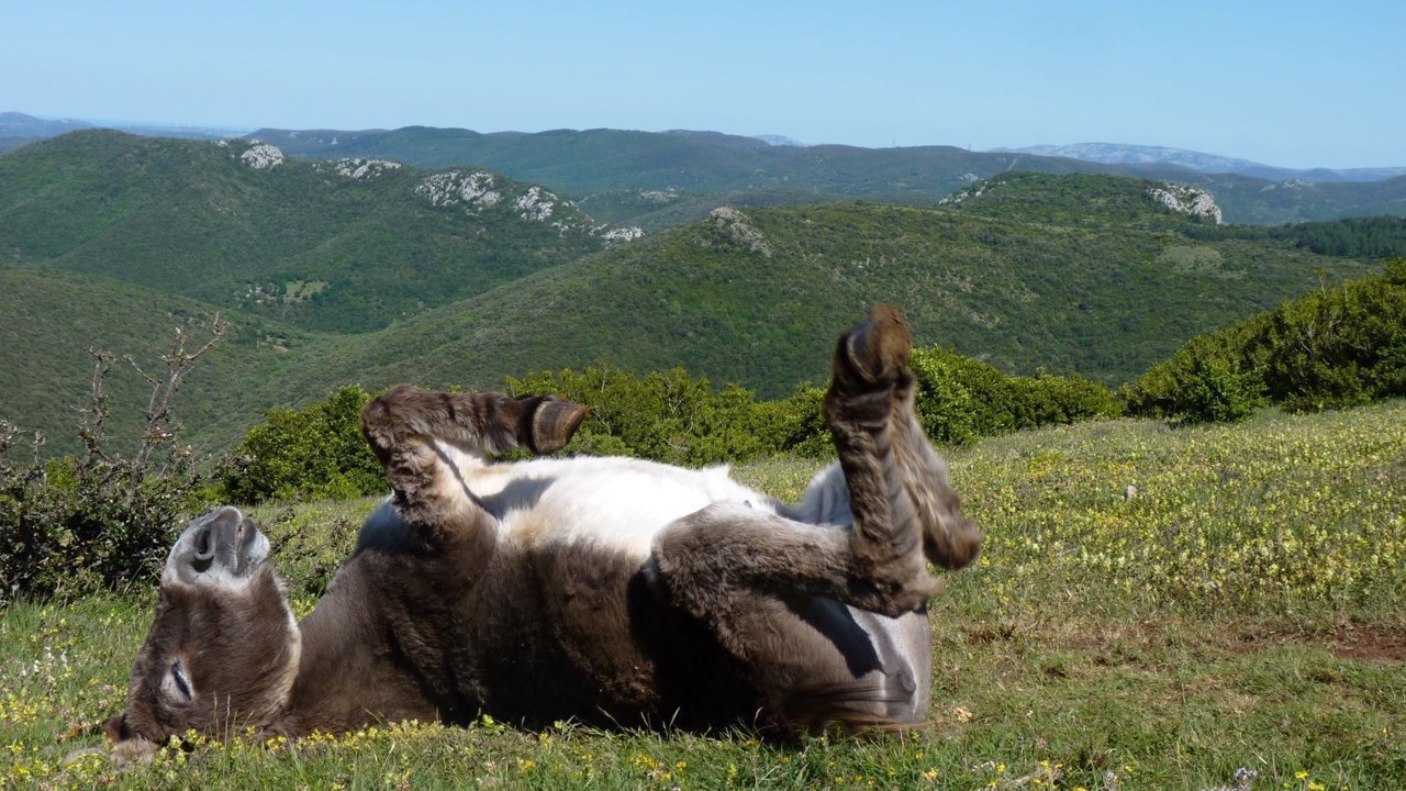 Photo of Outdoor in Termes
