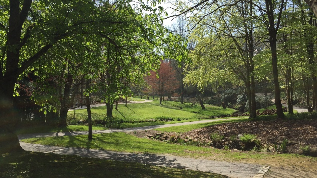 Photo of Outdoor in Saint-Marc