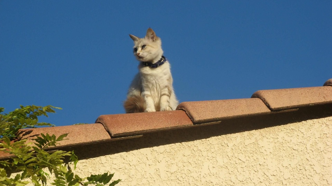 Photo of Others in Garrigues-Sainte-Eulalie