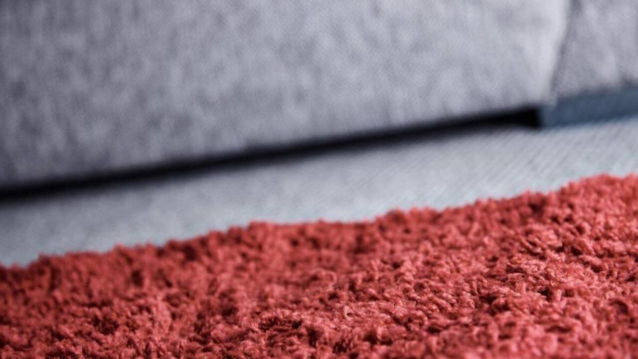 Photo of Others in South Shore