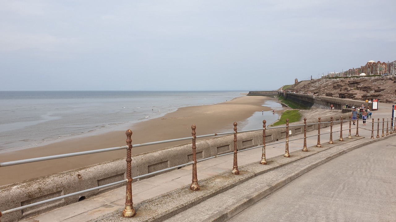 Photo of Others in South Shore