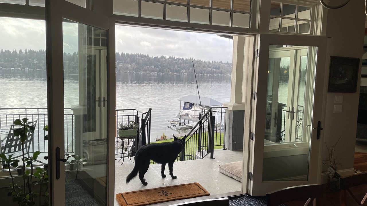 Photo of Others in Inglewood-Finn Hill